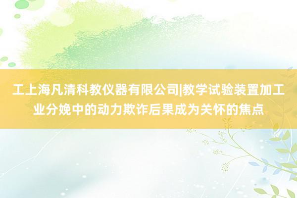 工上海凡清科教仪器有限公司|教学试验装置加工业分娩中的动力欺诈后果成为关怀的焦点