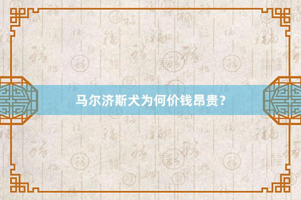 马尔济斯犬为何价钱昂贵?